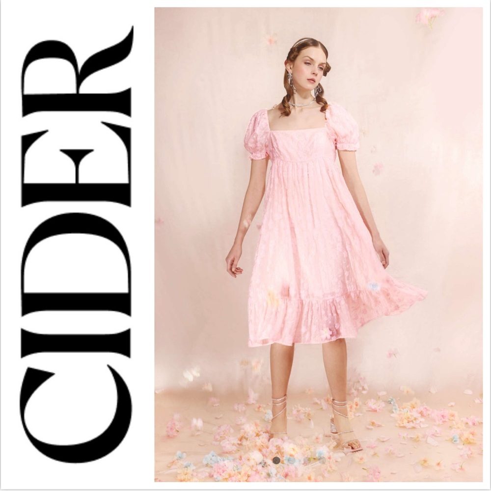 Cider Dress peach ballet pink chiffon babydoll midi lined organza large event